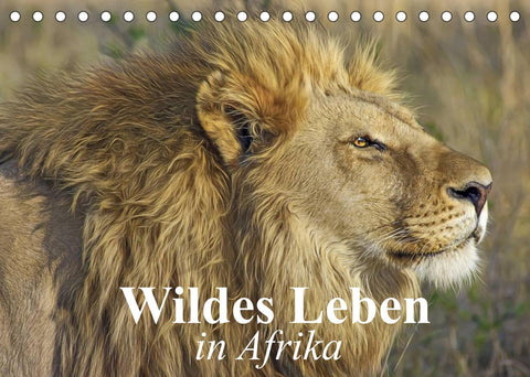 Wildes Leben in Afrika (Tischkalender 2022 DIN A5 quer)