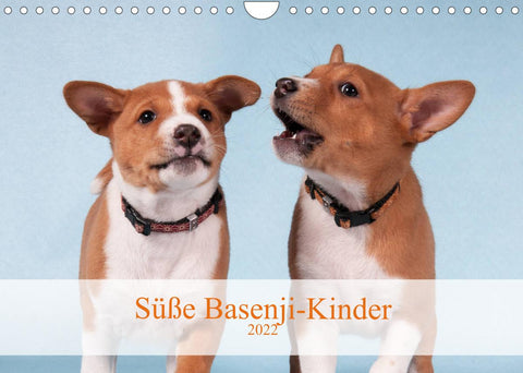 Süße Basenji-Kinder (Wandkalender 2022 DIN A4 quer)