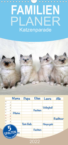 Familienplaner Katzenparade (Wandkalender 2022 , 21 cm x 45 cm, hoch)