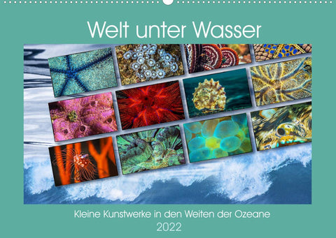 Kleine Kunstwerke in den Weiten der Ozeane (Wandkalender 2022 DIN A2 quer)