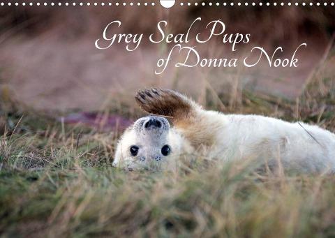 Grey Seal Pups of Donna Nook (Wall Calendar 2022 DIN A3 Landscape)