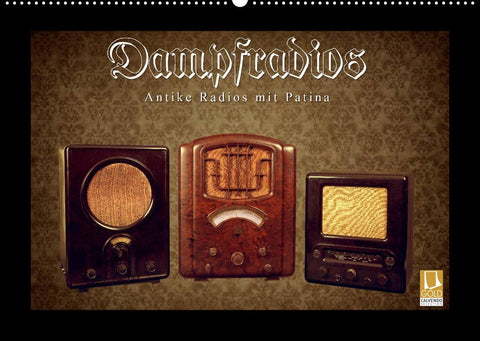 Dampfradios - Antike Radios mit Patina (Wandkalender 2022 DIN A2 quer)