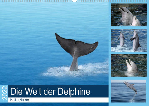 Die Welt der Delphine (Wandkalender 2022 DIN A2 quer)