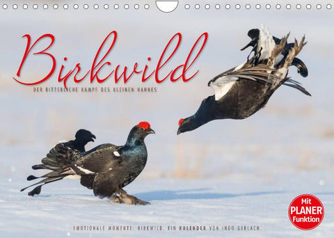 Emotionale Momente: Birkwild (Wandkalender 2022 DIN A4 quer)