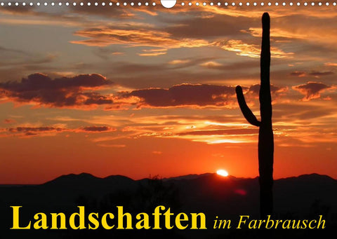 Landschaften im Farbrausch (Wandkalender 2022 DIN A3 quer)