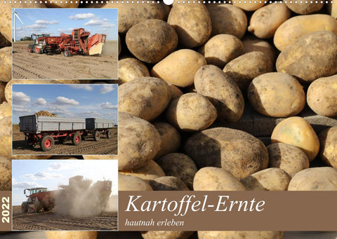 Kartoffel-Ernte - hautnah erleben (Wandkalender 2022 DIN A2 quer)