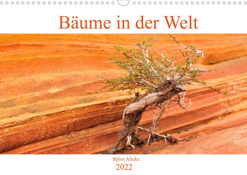 Bäume in der Welt (Wandkalender 2022 DIN A3 quer)
