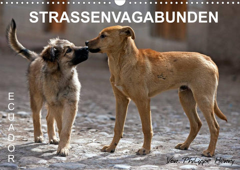 STRASSENVAGABUNDEN (Wandkalender 2022 DIN A3 quer)