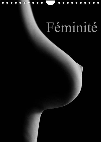 Féminité (Calendrier mural 2022 DIN A4 vertical)