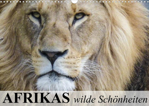 Afrikas wilde Schönheiten (Wandkalender 2022 DIN A3 quer)