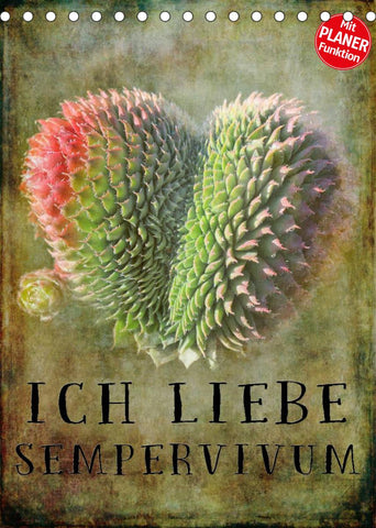 Ich liebe Sempervivum (Tischkalender 2022 DIN A5 hoch)