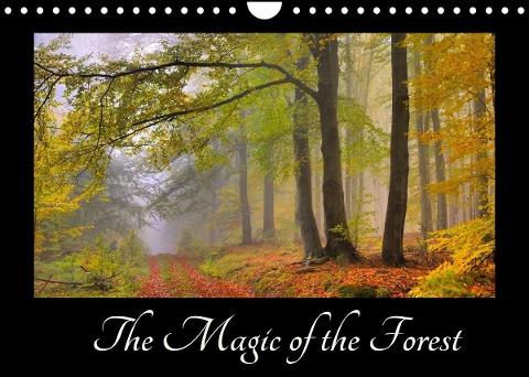The Magic of the Forest (Wall Calendar 2022 DIN A4 Landscape)