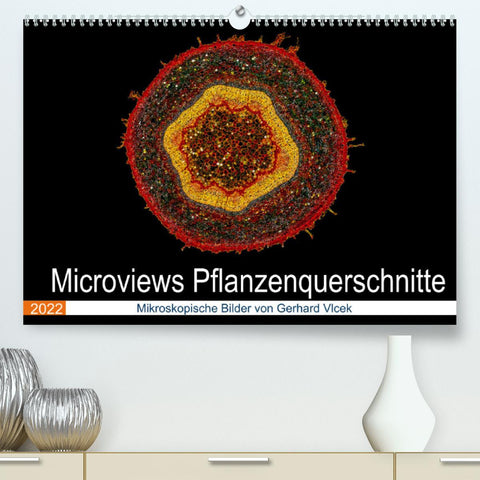 Microviews - Pflanzenquerschnitte (Premium, hochwertiger DIN A2 Wandkalender 2022, Kunstdruck in Hochglanz)