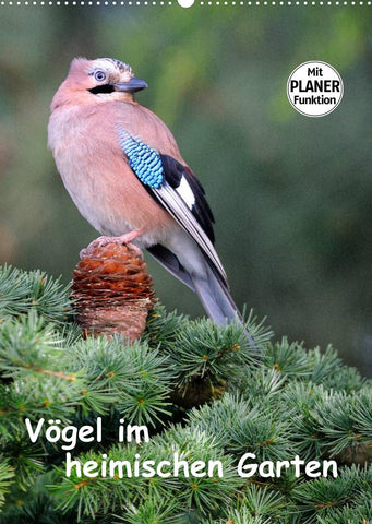 Vögel im heimischen Garten (Wandkalender 2022 DIN A2 hoch)