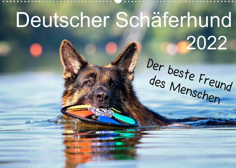 Deutscher Schäferhund - Der beste Freund des Menschen (Wandkalender 2022 DIN A2 quer)