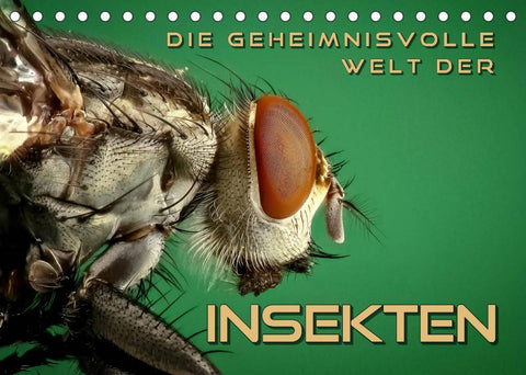 Die geheimnisvolle Welt der Insekten (Tischkalender 2022 DIN A5 quer)