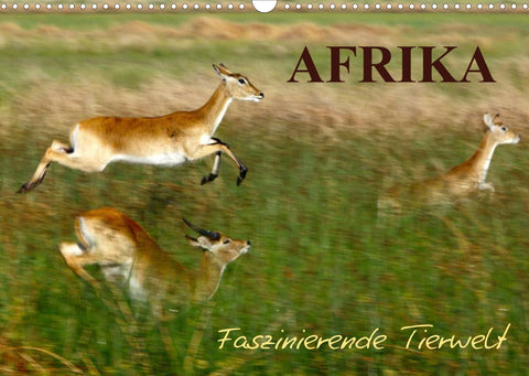Afrika - Faszinierende Tierwelt (Wandkalender 2022 DIN A3 quer)