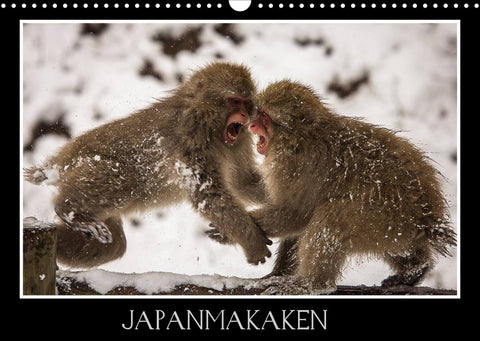 Japanmakaken (Wandkalender 2022 DIN A3 quer)