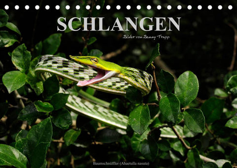 Schlangen (Tischkalender 2022 DIN A5 quer)
