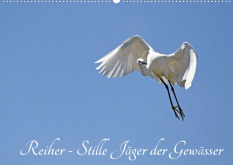 Reiher - Stille Jäger der Gewässer (Wandkalender 2022 DIN A2 quer)