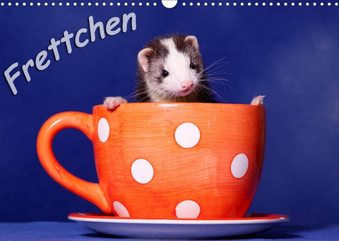 Frettchen - Ferrets (Wandkalender 2022 DIN A3 quer)