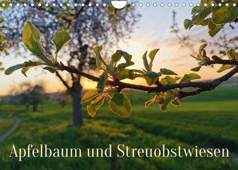 Apfelbaum und Streuobstwiesen (Wandkalender 2022 DIN A4 quer)