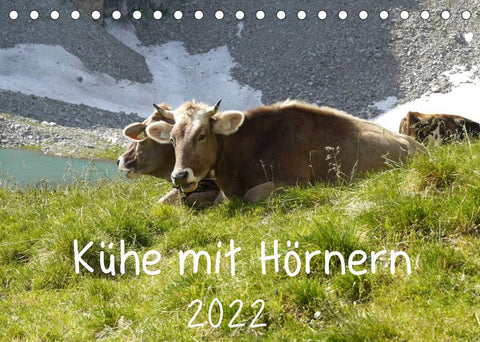 Kühe mit Hörnern (Tischkalender 2022 DIN A5 quer)