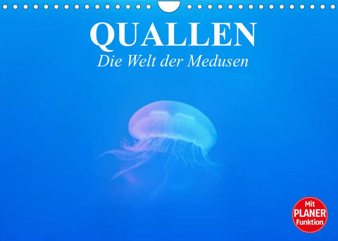 Quallen. Die Welt der Medusen (Wandkalender 2022 DIN A4 quer)