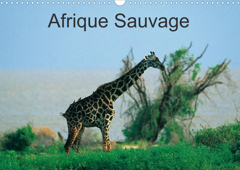 Afrique Sauvage (Calendrier mural 2022 DIN A3 horizontal)