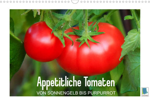 Appetitliche Tomaten – von sonnengelb bis purpurrot (Wandkalender 2022 DIN A3 quer)