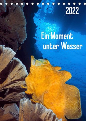 Ein Moment unter Wasser (Tischkalender 2022 DIN A5 hoch)