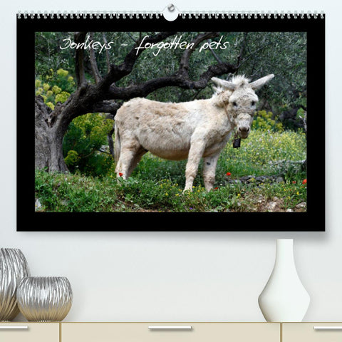 Donkeys - forgotten pets (Premium, hochwertiger DIN A2 Wandkalender 2022, Kunstdruck in Hochglanz)