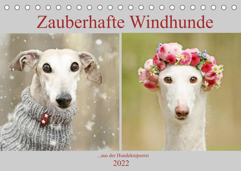 Zauberhafte Windhunde (Tischkalender 2022 DIN A5 quer)