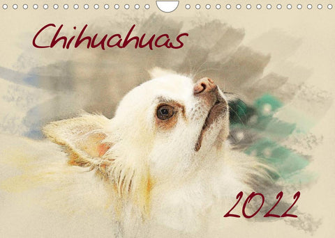 Chihuahuas 2022 (Wandkalender 2022 DIN A4 quer)