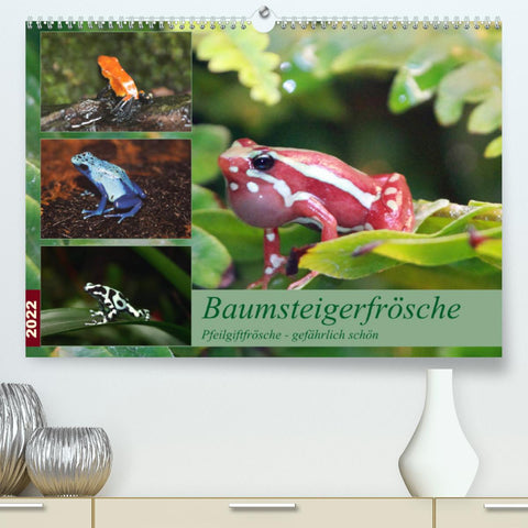 Baumsteigerfrösche. Pfeilgiftfrösche - gefährlich schön (Premium, hochwertiger DIN A2 Wandkalender 2022, Kunstdruck in Hochglanz)