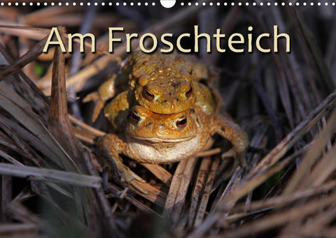Am Froschteich (Wandkalender 2022 DIN A3 quer)
