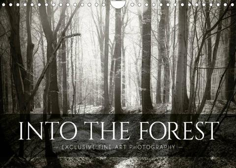 Into the Forest (Wall Calendar 2022 DIN A4 Landscape)