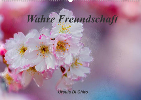 Wahre Freundschaft (Wandkalender 2022 DIN A2 quer)