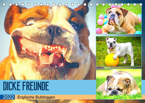 Dicke Freunde. Englische Bulldoggen (Tischkalender 2022 DIN A5 quer)