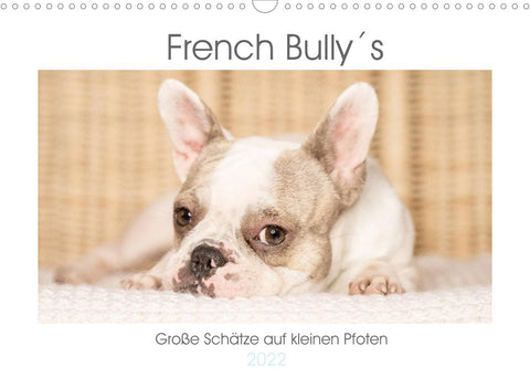 French Bully´s - Große Schätze auf kleinen Pfoten (Wandkalender 2022 DIN A3 quer)