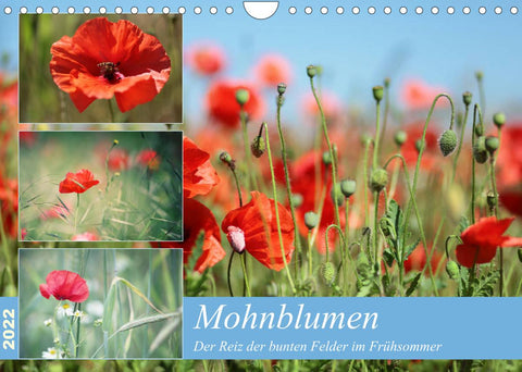 Mohnblumen (Wandkalender 2022 DIN A4 quer)