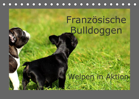 Französische Bulldoggen (Tischkalender 2022 DIN A5 quer)