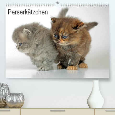 Perserkätzchen / CH-Version (Premium, hochwertiger DIN A2 Wandkalender 2022, Kunstdruck in Hochglanz)