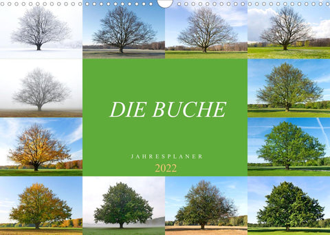 Die Buche: Jahresplaner 2022 (Wandkalender 2022 DIN A3 quer)