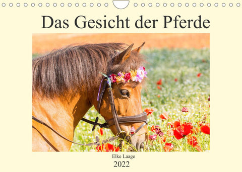 Das Gesicht der Pferde (Wandkalender 2022 DIN A4 quer)