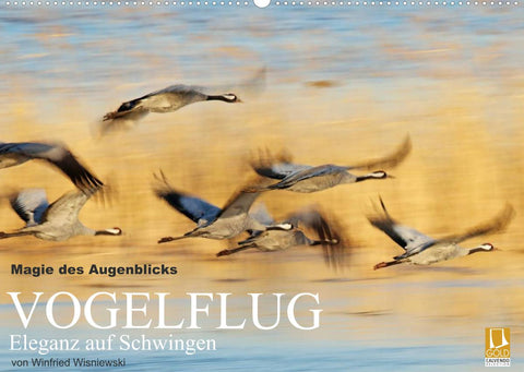 Magie des Augenblicks - Vogelflug - Eleganz auf Schwingen (Wandkalender 2022 DIN A2 quer)