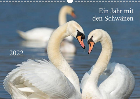 Ein Jahr mit den SchwänenCH-Version (Wandkalender 2022 DIN A3 quer)