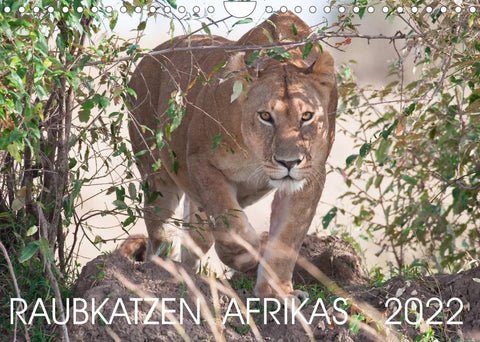 Raubkatzen Afrikas (Wandkalender 2022 DIN A4 quer)