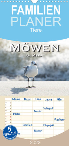Familienplaner Möwen am Meer (Wandkalender 2022 , 21 cm x 45 cm, hoch)