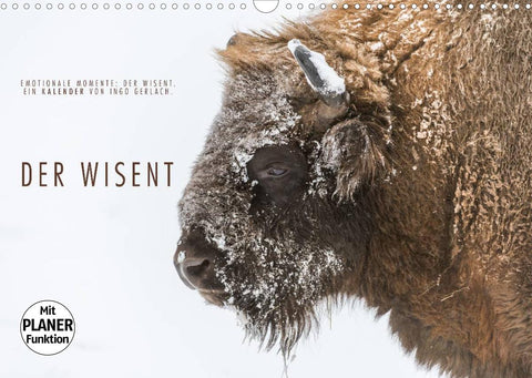 Emotionale Momente: Der Wisent. (Wandkalender 2022 DIN A3 quer)